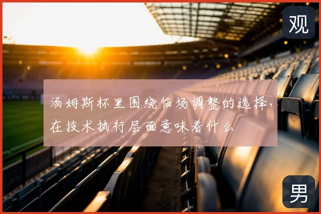 汤姆斯杯里围绕临场调整的选择，在技术执行层面意味着什么