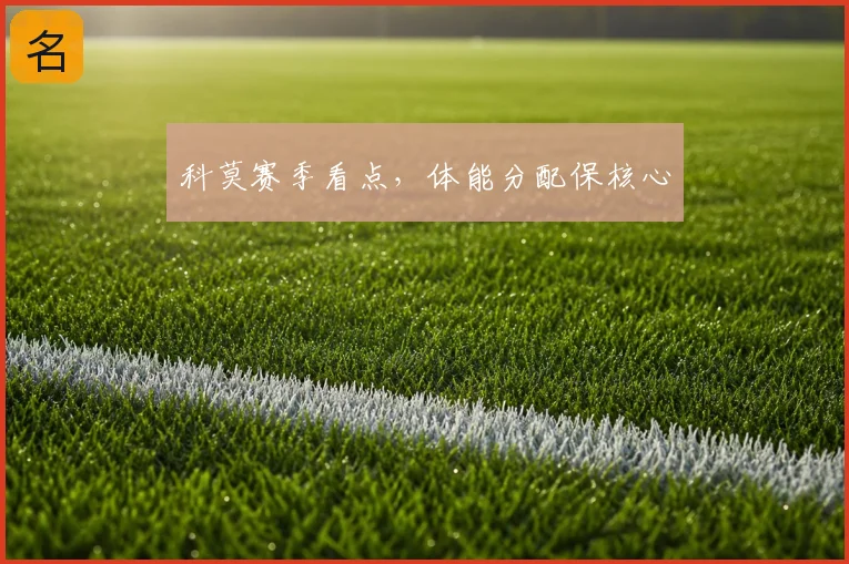 科莫赛季看点，体能分配保核心