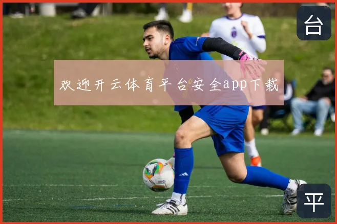 欢迎开云体育平台安全app下载